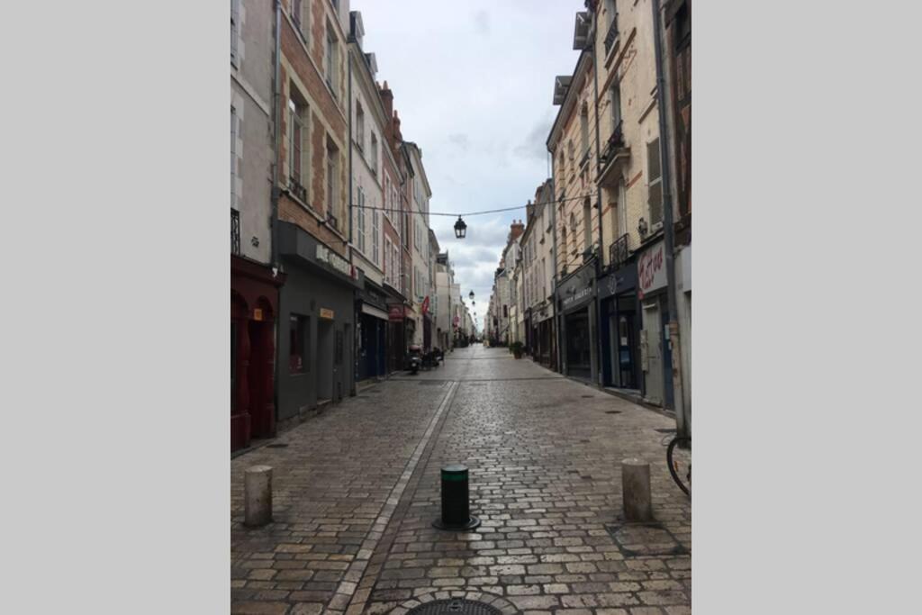 Tour De France Historique Et Chateaux De Loire أورلييو المظهر الخارجي الصورة